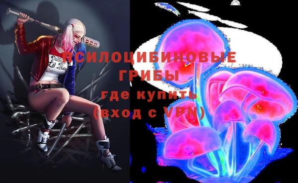 прущие грибы Краснослободск