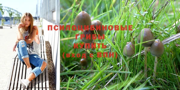 скорость Арсеньев