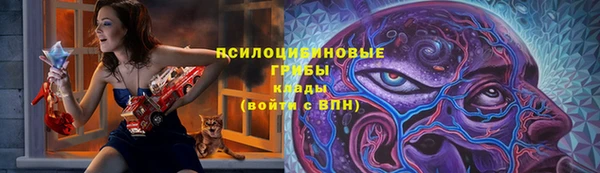дживик Аркадак